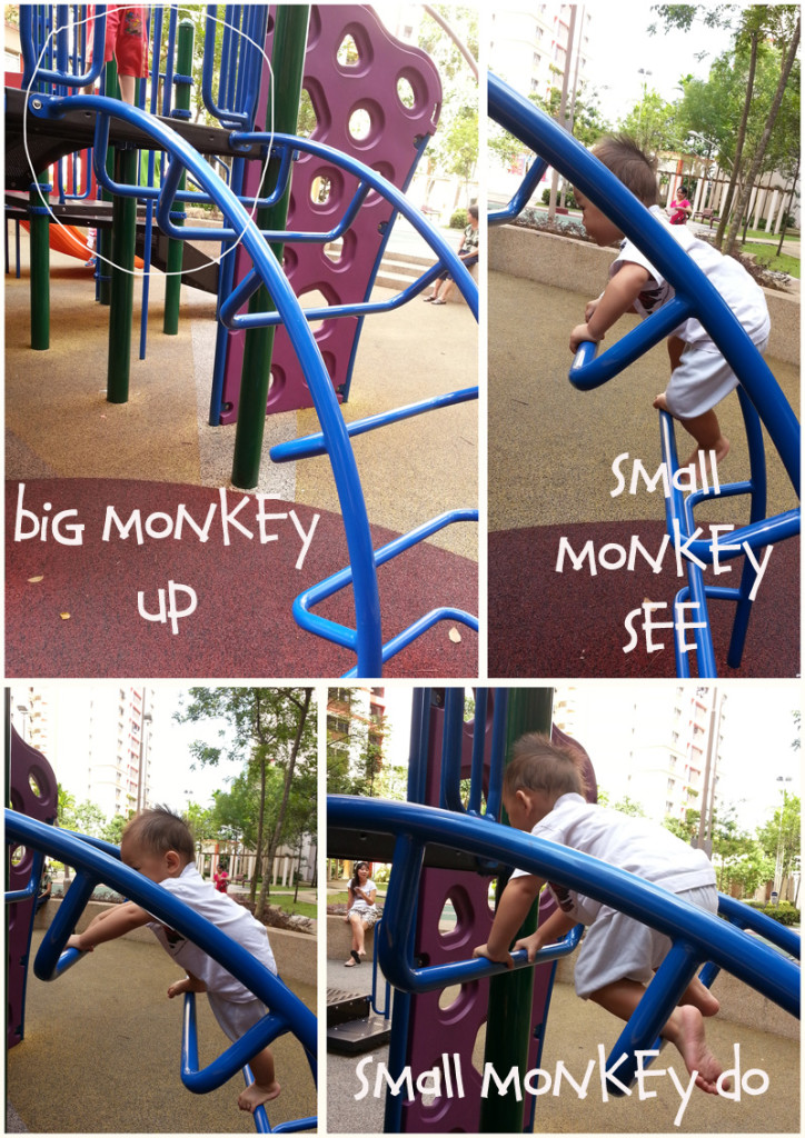 Monkey see, monkey do. Small monkey can copy anything!