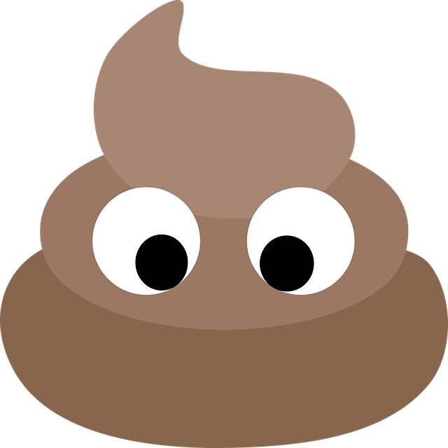 poop-2024794_640