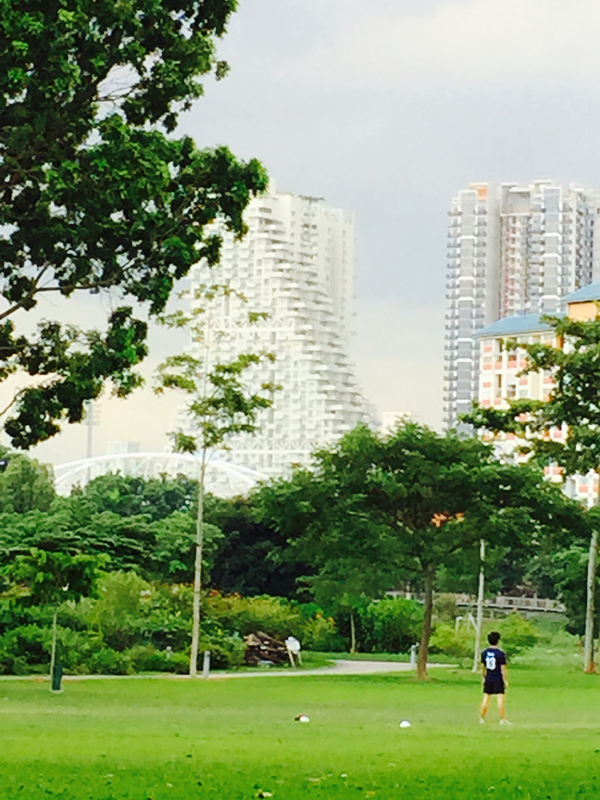 We can see Sky Habitat in the background!