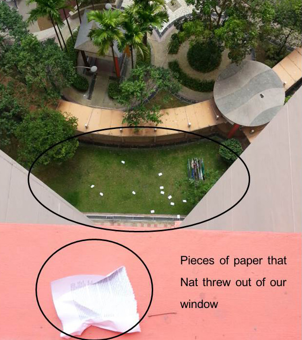 Nat and paper confetti