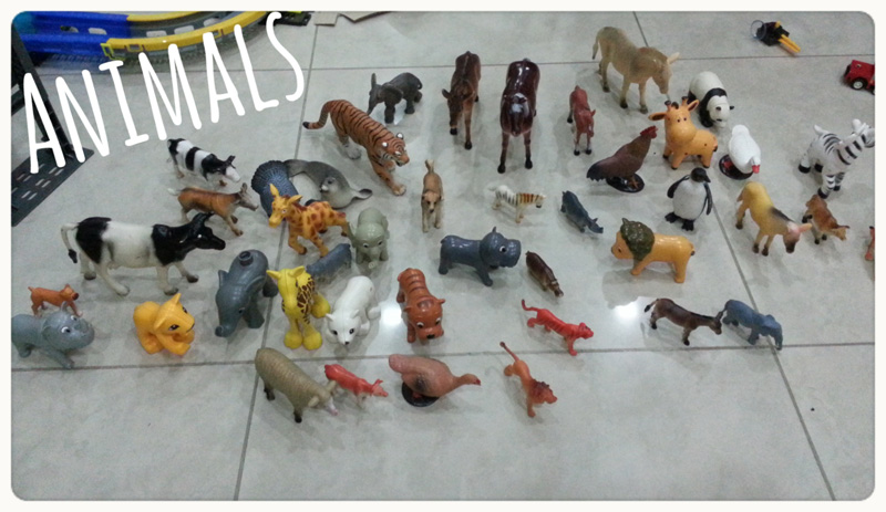 Animals