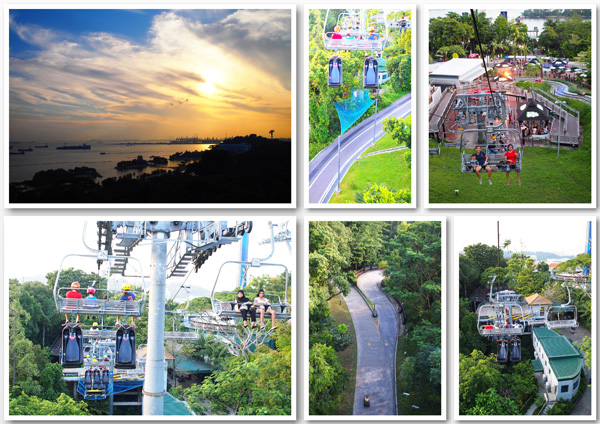 Sentosa Skyline Luge_5