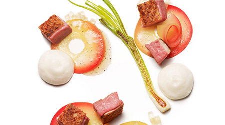 Wild duck and wild apples