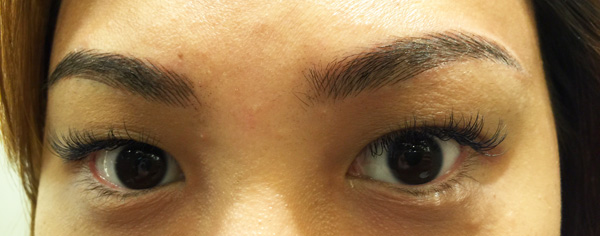 Browtisan_Completed