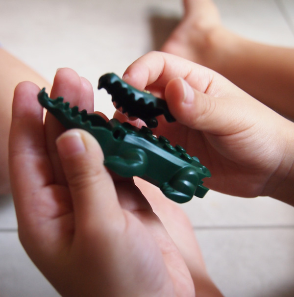Fix a croc