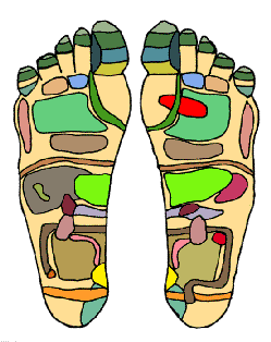 Did you know that the areas of the feet correspond with organs in the "zones" of the body?