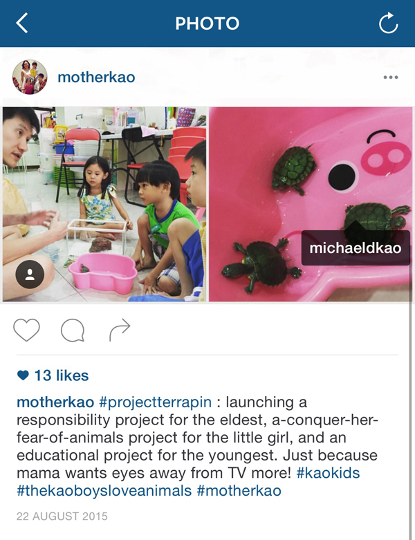 Terrapins_IG1